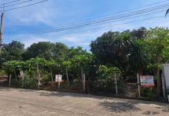 ขายที่ดินหมู่บ้านสาวิตรี ถนนพุทธมณฑลสาย3 บรมราชชนนี เขตทวีวัฒนา กรุงเทพมหานคร-202301231553381674464018922.jpg