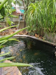 ขาย บ้านเดี่ยว 2 ชั้น บ้านฟ้าปิยรมย์ เฟส 10 วงแหวน-ลำลูกกา คลอง 6-202301261624261674725066072.jpg