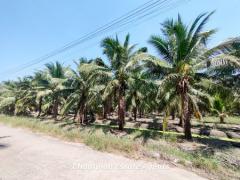 ขาย ที่ดิน สวนมะพร้าว พร้อมบ้านพัก
ติดถนนสาธารณะ ผังสีชมพู
อำเภอดำเนินสะดวก จังหวัดราชบุรี
4ไร่-202301271316281674800188478.jpg