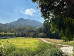 ขายที่ดิน วิวภูเขา ติดลำธาร ติดถนนหลัก จ.เชียงใหม่-202301310555561675119356898.jpg