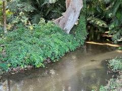 ขายที่ดิน วิวภูเขา ติดลำธาร ติดถนนหลัก จ.เชียงใหม่-202301310556011675119361363.jpg