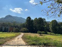 ขายที่ดิน วิวภูเขา ติดลำธาร ติดถนนหลัก จ.เชียงใหม่-202301310556161675119376595.jpg