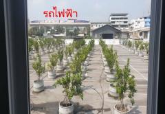 ขายทาวน์เฮ้าส์ หมู่บ้านธารทองนิเวศน์ ติดถนนพหลโยธิน เนื้อที่ 19 ตร.ว. ทำเลดี ติดถนนใหญ่-202302140904001676340240438.jpg