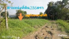 ขาย ที่ดิน ติดหมู่บ้านอาสาเฮ้าส์5 2 งาน 86 ตร.วา บางใหญ่ นนทบุรี-202303041509061677917346301.jpg