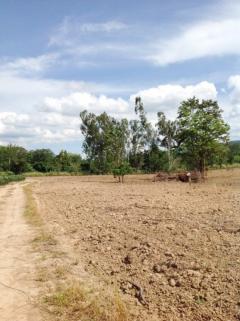 ขาย ที่ดิน 25-1-52 ไร่ โป่งตาลอง ปากช่อง เขาใหญ่ ใกล้ ตาวีฟาร์ม และ Toscana-202303160623221678922602300.jpg