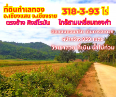 ขายที่ดินเชียงราย ตรงข้ามคิงโรมัน 318-3-93ไร่ ใกล้สามเหลี่ยมทองคำ