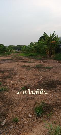 ขายที่ดินเปล่า 5-1-92 ไร่ พื้นที่สีม่วง ติดถนนลำลูกกา หน้ากว้าง 40 เมตร-202304301500341682841634874.jpg