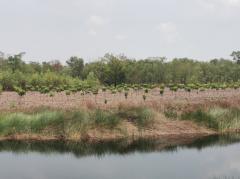 ขาย ที่ดิน ที่สวย ทำเลดี 3 ไร่ 3 งาน 09 ตร.วา บริการด้านสินเชื่อ-202305012331181682958678550.jpg