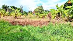 ขายที่ดิน โซนข่วงสันกำแพง ใกล้วัดสันกำแพงหลวง อยู่ในย่านชุมชน การเดินทางสะดวก-202305041842411683200561498.jpg