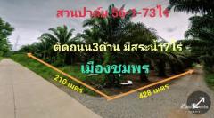 ขาย ที่ดิน สวนปาล์ม ติดถนน มีแหล่งน้ำขนาดใหญ่ 56 ไร่ 1 งาน 73 ตร.วา เมืองชุมพร-202305112328061683822486573.jpg