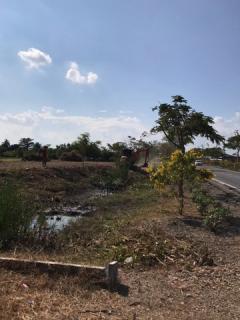 ขายที่ดินปล่าเขตหนองจอก  เนื้อที่ 311 ตารางวา