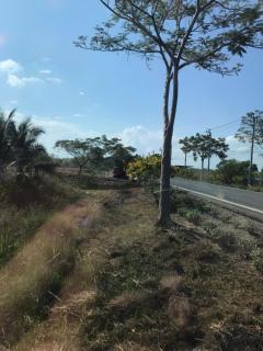 ขายที่ดินปล่าเขตหนองจอก  เนื้อที่ 311 ตารางวา-202305221354131684738453000.jpeg