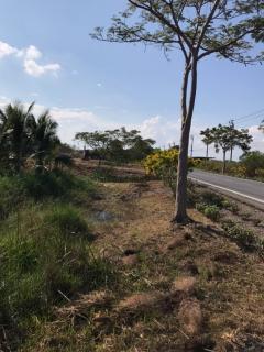 ขายที่ดินปล่าเขตหนองจอก  เนื้อที่ 311 ตารางวา-202305221354131684738453636.jpeg