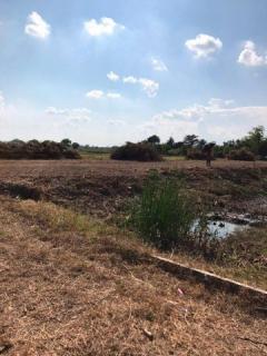 ขายที่ดินปล่าเขตหนองจอก  เนื้อที่ 311 ตารางวา-202305221354141684738454310.jpg