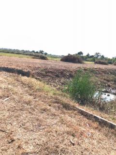 ขายที่ดินปล่าเขตหนองจอก  เนื้อที่ 311 ตารางวา-202305221354141684738454897.jpg