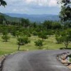 ขายบ้านเรือนไทยพร้อมที่ดินผืนงามบนเนินเขาสูงบนที่ดินขนาด (N.213)-202305301152041685422324088.jpg