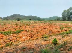 ขาย ที่ดิน หนองช้างตาย ตำบลหนองสาหร่าย ปากช่อง นครราชสีมา 10 ไร่ 68 ตร.วา ขายถูกกมาก ต่ำกว่าราคาตลาด-202305302249171685461757183.jpg
