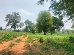 ขาย ที่ดิน หนองช้างตาย ตำบลหนองสาหร่าย ปากช่อง นครราชสีมา 10 ไร่ 68 ตร.วา ขายถูกกมาก ต่ำกว่าราคาตลาด-202305302249191685461759844.jpg