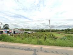 ขาย ที่ดิน หนองช้างตาย ตำบลหนองสาหร่าย ปากช่อง นครราชสีมา 9 ไร่ 3 งาน 74.7 ตร.วา เหมาะสำหรับลงทุนที่ดินไร่พืช ทำฟาร์ม พัฒนาเป็นรีสอร์ทได้-202305302306511685462811629.jpg