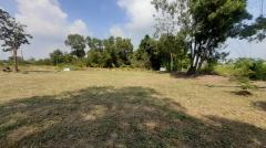 ขายที่ดิน หมู่บ้านรอยัลเพลส (Royal Place)  (N.246)