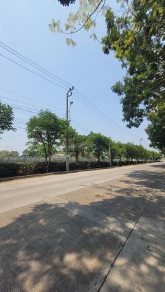 ขายที่ดินเปล่า 150 ตรว. ทำเลดี เข้าซอย 82 ถ.สุขาภิบาล 5 เพียง 100 กว่าเมตร แขวงออเงิน สายไหม กทม-202306141608501686733730678.jpg