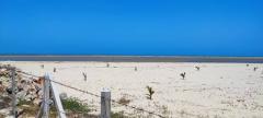 ขายที่ดินติดทะเลหาดชะอำ หาดทรายขาวมากพื้นที่ 35 ไร่ ถูกสุดในย่านนี้