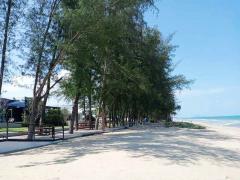 ขายที่ดินติดทะเลหาดสุรินทร์ หาดทรายขาวมากราคาประเมิน 1.62 ล้าน ขาย 1.7 ล้านบาท-202307031247331688363253665.jpg