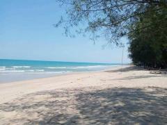 ขายที่ดินติดทะเลหาดสุรินทร์ หาดทรายขาวมากราคาประเมิน 1.62 ล้าน ขาย 1.7 ล้านบาท-202307031247341688363254291.jpg