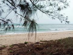 ขายที่ดินติดทะเลหาดสุรินทร์ หาดทรายขาวมากราคาประเมิน 1.62 ล้าน ขาย 1.7 ล้านบาท-202307031247361688363256136.jpg