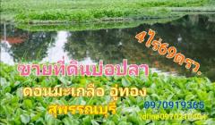 ขาย ที่ดิน บ่อปลา ดอนมะเกลือ 4 ไร่ 69 ตร.วา อู่ทอง สุพรรณบุรี-202307051313571688537637382.jpg