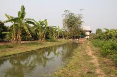 ขายบ้านพร้อมสวนผสมผสาน มีน้ำ+ไฟ ติดถนน อำเภอเมืองลำพูน ฟรีโอน โปรปี68-202307051845161688557516990.jpg
