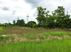 ขายที่ดินลำพูน บ้านใหม่สัมมะนะใกล้เมืองลำพูนและเชียงใหม่ เข้า-ออกสะดวก