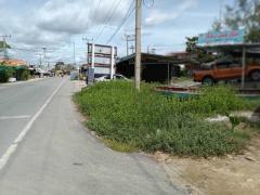 ขายที่ดินทำเลดีมาก ติดถนนคลองโคน-ชะอำ อ. บ้านแหลม จ. เพชรบุรี (N.712)-202307181145101689655510290.jpg