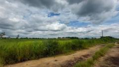 ขายถูกมาก ที่ดินเปล่า 400 ตารางวา ซ.วัดอู่ตะเภา ฉลองกรุง (N.405)