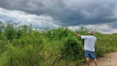 ขายถูกมาก ที่ดินเปล่า 400 ตารางวา ซ.วัดอู่ตะเภา ฉลองกรุง (N.405)-202307181521141689668474097.jpg