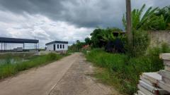 ขายถูกมาก ที่ดินเปล่า 400 ตารางวา ซ.วัดอู่ตะเภา ฉลองกรุง (N.405)-202307181521151689668475321.jpg