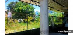 ขาย ที่ดิน ขายที่ดิน ตลาดแหลมฉบัง อ.ศรีราชา จ.ชลบุรี ใกล้ถนนสุขุมวิท 1 ไร่-202308112148041691765284608.jpg
