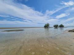 ขาย ที่ดิน ติดชายหาดเจ้าหลาว จันทบุรี 12 ไร่ บรรยากาศดีมาก​ เหมาะทำรีสอร์ทริมทะเล-202308112226291691767589005.jpg