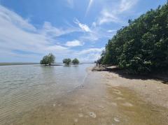 ขาย ที่ดิน ติดชายหาดเจ้าหลาว จันทบุรี 12 ไร่ บรรยากาศดีมาก​ เหมาะทำรีสอร์ทริมทะเล-202308112226301691767590456.jpg