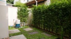 ขายด่วนทาวน์โฮม ม.บ้านใหม่ เทพารักษ์-วงแหวน **เพียง 2.79 ล่าน** (N.730)-202308221740471692700847156.jpg