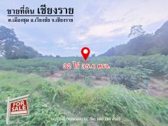 ขาย ที่ดิน ทำเลดี ที่ดินเชียงราย  32 ไร่ 35.6 ตร.วา ติดทางหลวงแผ่นดิน 1173-202308280040401693158040805.jpg