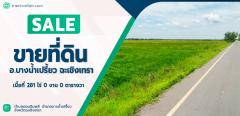 ขาย ที่ดิน ขายที่ดิน อ.บางน้ำเปรี้ยว ฉะเชิงเทรา เนื้อที่ 281 ไร่  281 ไร่