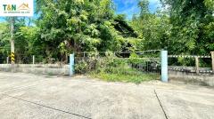 ขาย ที่ดินเปล่า 309 ตารางวา ซอยบางคูวัด - นนทบุรี 1 (ซอยเทพนิมิตร)-202309071329351694068175970.jpg