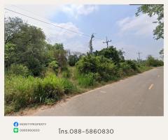 #ขายที่ดินพร้อมต้นสัก ต.วังเย็น อ.แปลงยาว จ.ฉะเชิงเทรา -202309081641441694166104318.jpg
