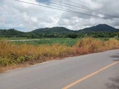 ว้าวมาก!ขายที่สวยระยอง อ.เมือง 27-1-20ไร่ ติดถนนสุขุมวิท ทางไป อ.แกลง หน้ากว้าง ประมาณ 125 เมตร-202309181736431695033403985.jpg