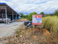 ขาย ที่ดิน แปลงเล็กติดถนนทางหลวง ที่ดิน 37.6 ตร.วา เหมาะทำธุรกิจ หรือซื้อเก็บเป็นทรัพย์สิน-202309191233021695101582582.jpg