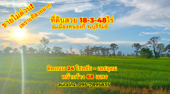 *ขายไม่ด่วน เพราะที่สวยมาก!*ขายที่ดินบุรีรัมย์ อ.หนองกี่ 18-3-48ไร่ ติดถนน24 โชคชัย-เดชอุดม หน้ากว้าง ประมาณ 68 เมตร