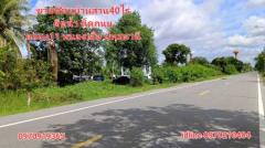 ขาย ที่ดิน บ้านสวน ติดน้ำ ติดถนน 40 ไร่ คลอง11 หนองเสือ ปทุมธานี-202309291729531695983393649.jpg