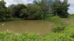ขาย ที่ดิน บ้านสวน ติดน้ำ ติดถนน 40 ไร่ คลอง11 หนองเสือ ปทุมธานี-202309291729571695983397592.jpg