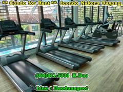 dCondo Nakorn Rayong *** Condo for Rent *** Rayong City-202310051045171696477517556.jpg